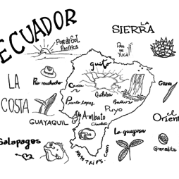 Ecuador map doodle